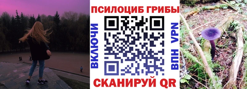 Псилоцибиновые грибы Psilocybine cubensis  Серпухов 