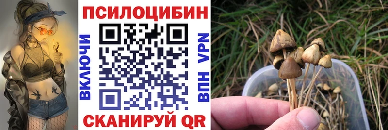 Псилоцибиновые грибы Magic Shrooms Серпухов