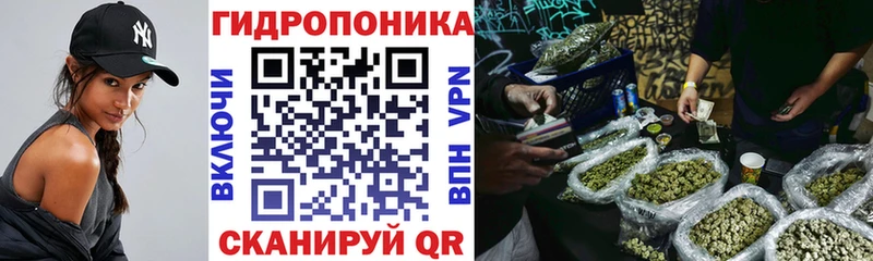 где купить наркоту блэк спрут зеркало МАРИХУАНА ГИДРОПОН Серпухов